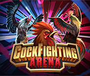 Cockfighting Arena KM